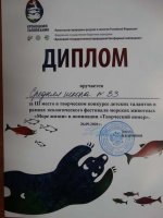 Краевой фестиваль морских животных «Море жизни»